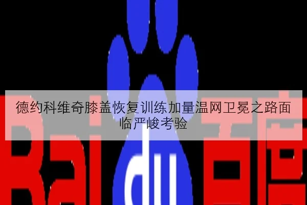 德约科维奇膝盖恢复训练加量温网卫冕之路面临严峻考验